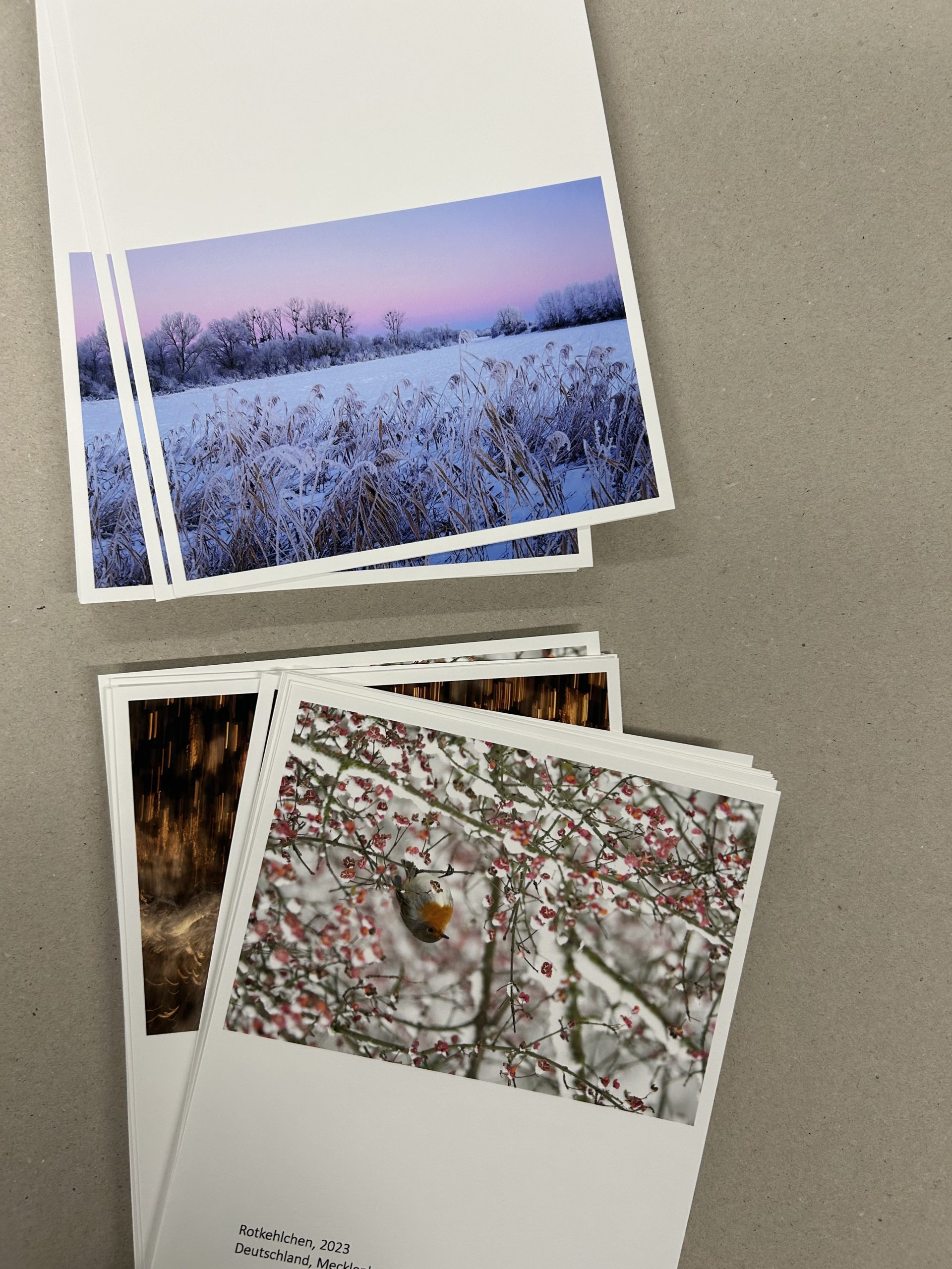 Foto 06.12.24 13 14 01 scaled